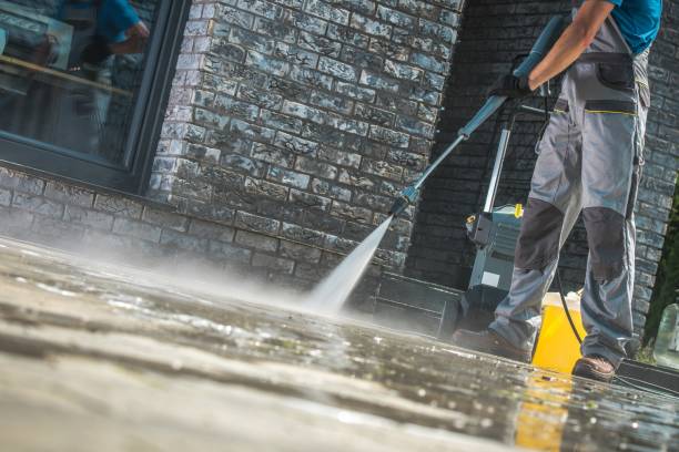 Best Patio and Deck Pressure Washing  in Harrington, DE