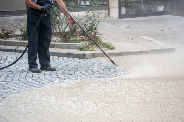 Best Restaurant Pressure Washing  in Harrington, DE
