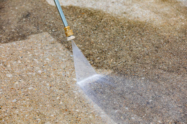 Best Soft Washing  in Harrington, DE