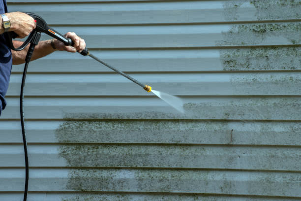 Reliable Harrington, DE Pressure Washing Services Solutions